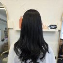 동대전약국 | 페이크블랙 고민된다면? 블랙과 페이크블랙차이/대전 용운동 미용실