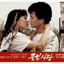 풀잎사랑 이미지