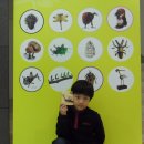 자연사 세탁소 이미지