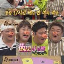 돼지한마리 이미지