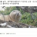 바다PC방 이미지