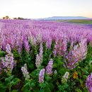 (주)세이지 이미지