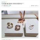 영*박* 이미지