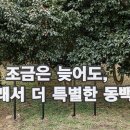 필종합동물병원 이미지