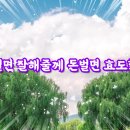 오늘,지금