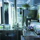 유리정원 이미지