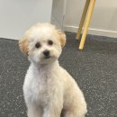 몽멍이들 이미지