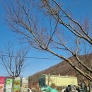 활옥동굴 호수펜션 | 충주가볼만한곳 활옥동굴 카약 가족 놀거리