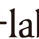 주식회사 라피스 이미지