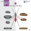 플라비