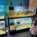 현대자동차 일산점 | 일산 원마운트 프렌디노 공룡 키즈카페 후기｜주차 꿀팁·굿모닝 패키지 정보