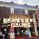주식회사 연서 | 일본 여행 도쿄 #2 도쿄디즈니랜드, 현지맛집 몬자야끼