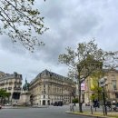 민화로 만나는 책과 꽃 (상) | 파리에서 만나는 동양 예술, 기메 박물관 (+K뷰티 특별 전시)