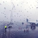 라임레이디 이미지