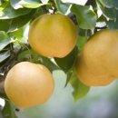 영어의 신 학원 이미지