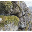 백송복지센터 이미지