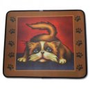 컴페니온 이미지