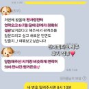 영타올 | [홍대사주타로] 연애운 재회운 전남친 연락시기 적중한 영타로 후기