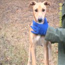 덕만농장 이미지