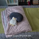 달떡볶이화양점 | 계절 힘들었다