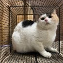 서신동물병원 이미지