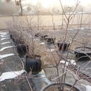 산진농장 이미지