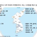 몽골,우즈벡,티베트에서 온 나무를 세는 단위 그루,한자음 根근의 어원 및 각지방 사투리 이미지