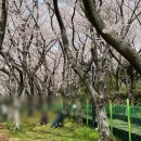 종합운동장 가로수길 이미지