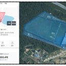 보니치니 골프랜드 이미지