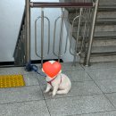 화목데파트(상가) | 해운대 장산 버터떡 등장! 디저트 맛집 [수아카롱] 솔직후기