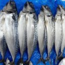 대경수산 이미지