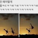 냠냠쩝쩝 이미지