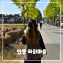 가마을길 | 안동 하회마을 후기｜산책하기 좋은 전통 마을, 삼신당 신목과 숲길까지