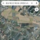 삼보농원 네이버블로그