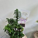 세운사 이미지