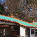 편백권역마을 이미지