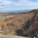 LBA강화공인중개사사무소 이미지