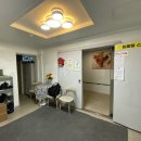 해 스테이 이미지