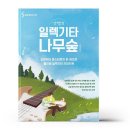 나무일렉 이미지
