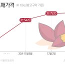 성지편의점