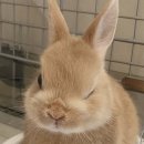 경원아인스타워 | 3월 결산 im divising (2)