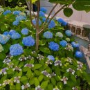 의료법인 안심의료재단 | 장성동요양원 의료법인생명샘의료재단 로뎀요양원 프리미엄 안심케어 제공