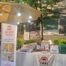 리리플리 이미지