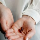 강서구-24 이미지