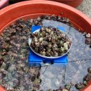 못골골목시장 이미지