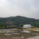 사암리 선돌 이미지