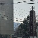 20주 정밀초음파 6개월 중기임산부 검사 태동 느낌 선린자모의원 밑빠짐