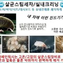 익산스팀세차