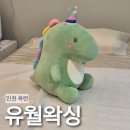 송도역 | 연수구 왁싱 유월왁싱 송도역 근처 옥련동 초스피드 브라질리언 후기