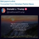 알타이항공(주) | Bob joyce